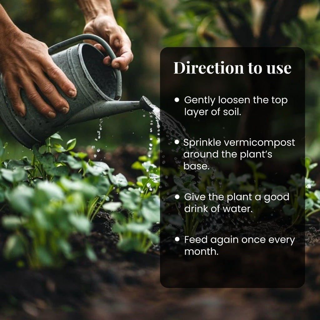 Organic Vermicompost Fertilizer for Plants - 1 KG | Organic Powder Manure (1KG Pack ) - Vermicompost by Ecoban